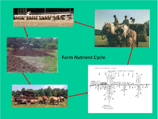 farm nutrient cycle