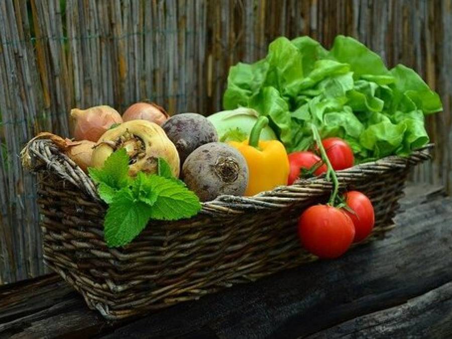 How to Start a Vegetable Garden: A Comprehensive Guide