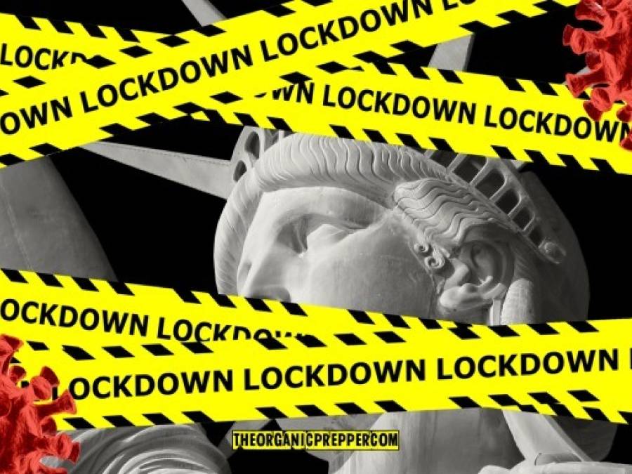 EARLY WARNING: Is Another Lockdown Coming? Here’s How to Get Prepared NOW 