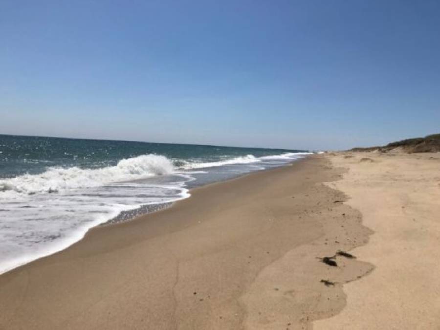 Death’s Secretary Tries to Forget on Cape Cod